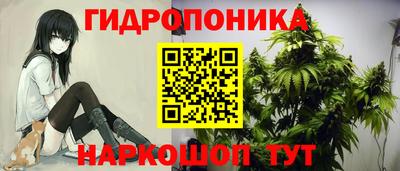 2c-b Дубна