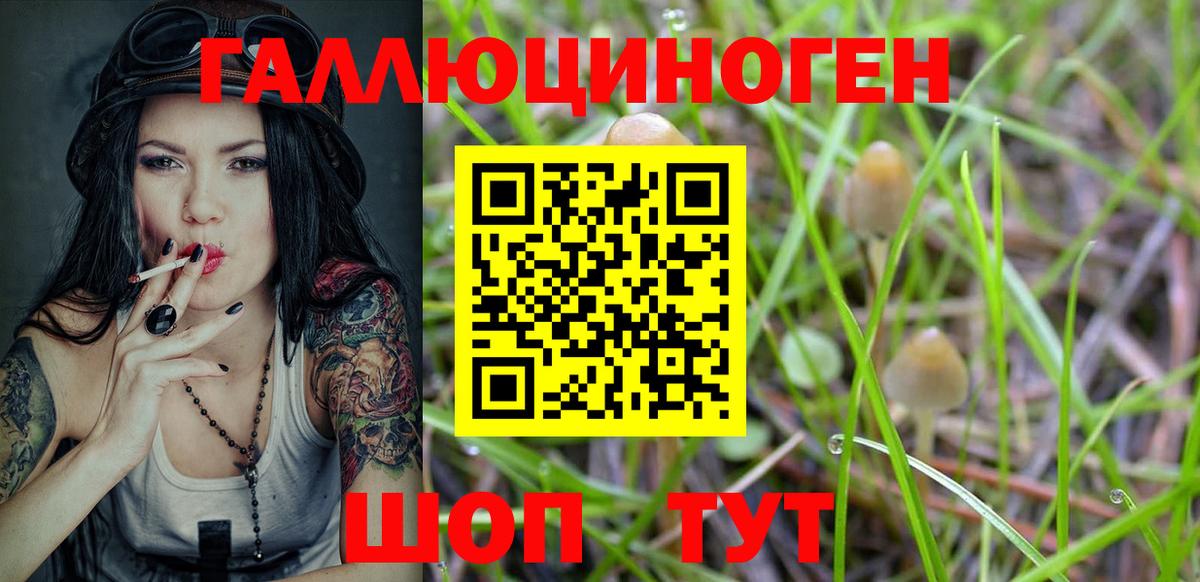 Галлюциногенные грибы GOLDEN TEACHER Ишимбай