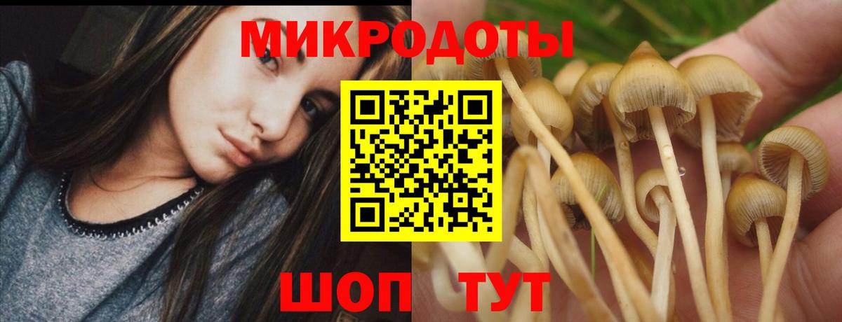 наркота  Вход с VPN  Ишимбай  Псилоцибиновые грибы прущие грибы 